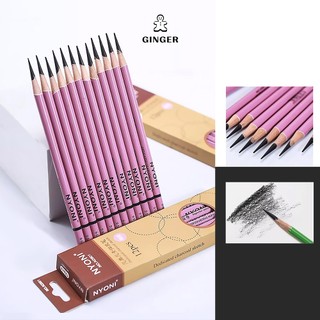 Chì than Nyoni chuyên dùng vẽ chân dung, vẽ than, kí họa