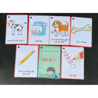 combo 5 chủ đề câu hỏi