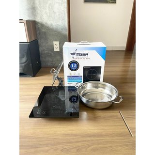 Bếp từ đơn âm Vinger VG-168I
