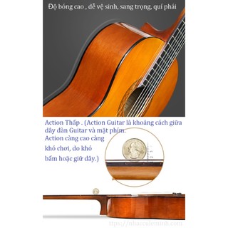 Đàn Guitar Classic Yamaha  C40 (Hàng chính hang bảo hành toàn quốc)