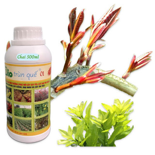 Dịch Trùn Quế Hữu Cơ Bio 01 Bón Lá/Tưới Gốc Phục Hồi Cây Suy Yếu, Dưỡng Cây, Kích Rễ,chai 500ml