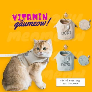 Dây xích dắt mèo đi dạo • dây xích cho chó mèo - gâumeow