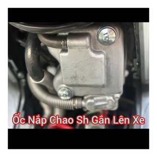 Ốc nắp chao Sh Ý