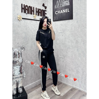Set bộ hoạ tiết
