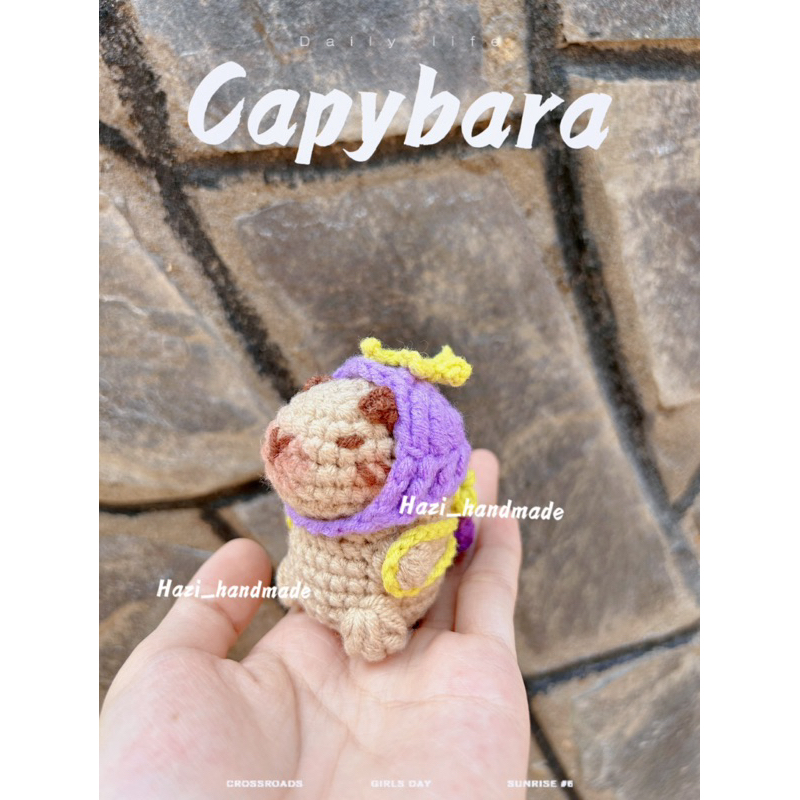 Bé Capybara mini len, Capybara đội nón len