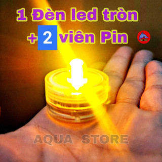 ĐÈN LED TRÒN , DÂY - ĐÈN TRANG TRÍ BỂ CÁ MINI, ĐỂ BÀN