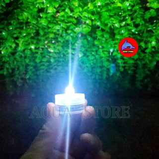 Đèn led tròn , dây - đèn trang trí bể cá mini, để bàn