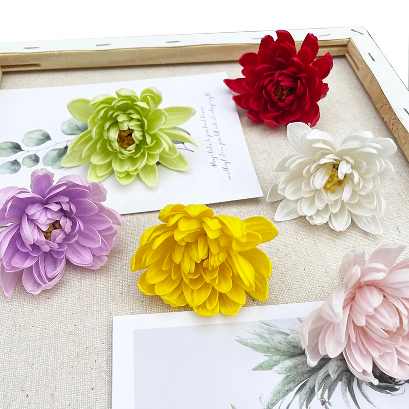 Hoa cúc thạch thảo, cúc aster sáp