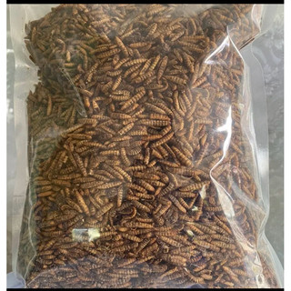 Sâu canxi sấy 500g dinh dưỡng cho gà