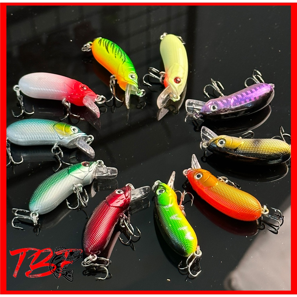 Mồi giả câu cá CC50 CC60 cao cấp thiết kế bi sắt rung lắc 6cm 10G TB Fishing