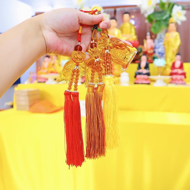Túi lưu ly
