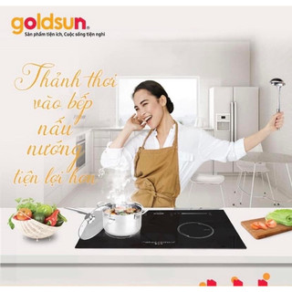 Bếp đôi điện từ Goldsun GDI7410