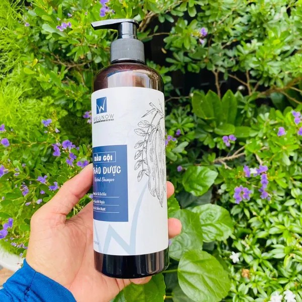Dầu Gội WellNow 500ml