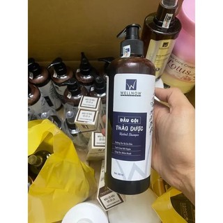 Dầu Gội WellNow 500ml