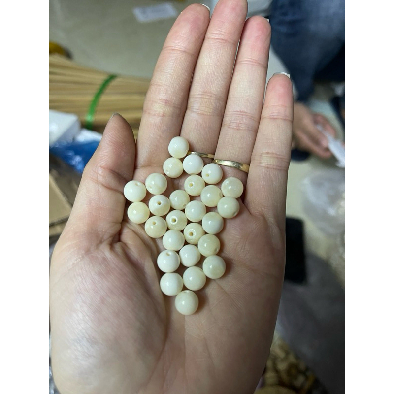 bi xương 8li dành cho khuyên