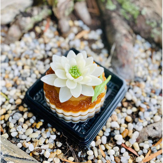 Khuôn silicon Hoa súng lớn