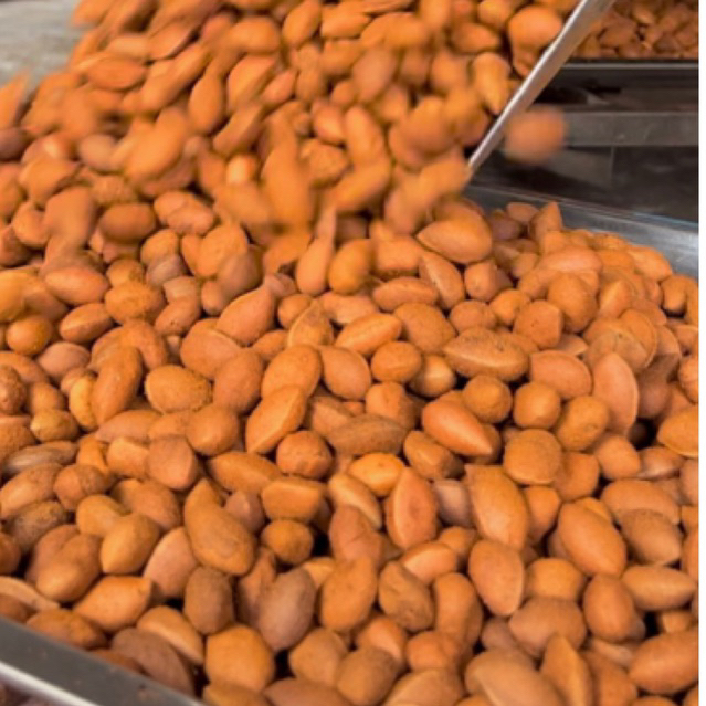 Trái Say|Trái Nhung Bóc Sẵn Sấy Nhẹ Tặng Kèm Muối| Talifood