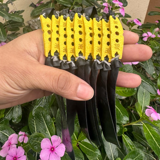 thun đen 0,65 cột sẵn dài 15-16-17cm