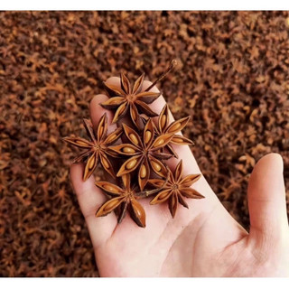 1kg hoa hồi khô thơm đẹp