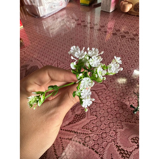 100g, 50g cỏ điểm nhặt sạch và chưa nhặt