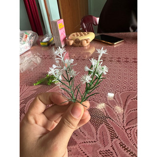 100g, 50g cỏ điểm nhặt sạch và chưa nhặt