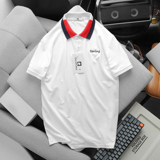 Áo Thun Polo Nam BASIC Vải Cotton Cá Sấu Cao Cấp Chuẩn Đẹp Tay Ngắn Có Cổ, áo phông tay Ngắn Có Cổ, Áo polo họa tiết nam