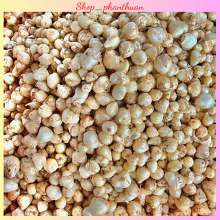 1kg Hành tăm Quảng Trị - củ ngang không lựa