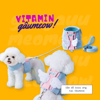   Hỏa Tốc  Dây Dắt Chó Mèo Đi Dạo • Dây Dắt Thú Cưng Có Thể Điều Chỉnh - Gâumeow 