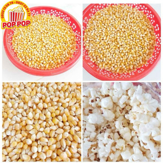 Combo bắp + bơ + bột phô mai