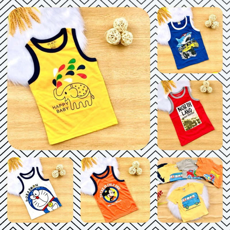 💥Áo cotton xuất place & carter’S bé trai 10-30kg