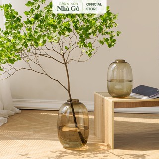 Bình hoa thủy tinh nâu Bắc Âu cắm hoa, cắm cành trang trí nhà cửa Nhà Gờ BTT23 M24