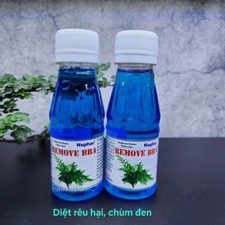 Nuphar BBA - diệt hiệu quả rêu chùm đen, rêu hại, tảo nâu,...