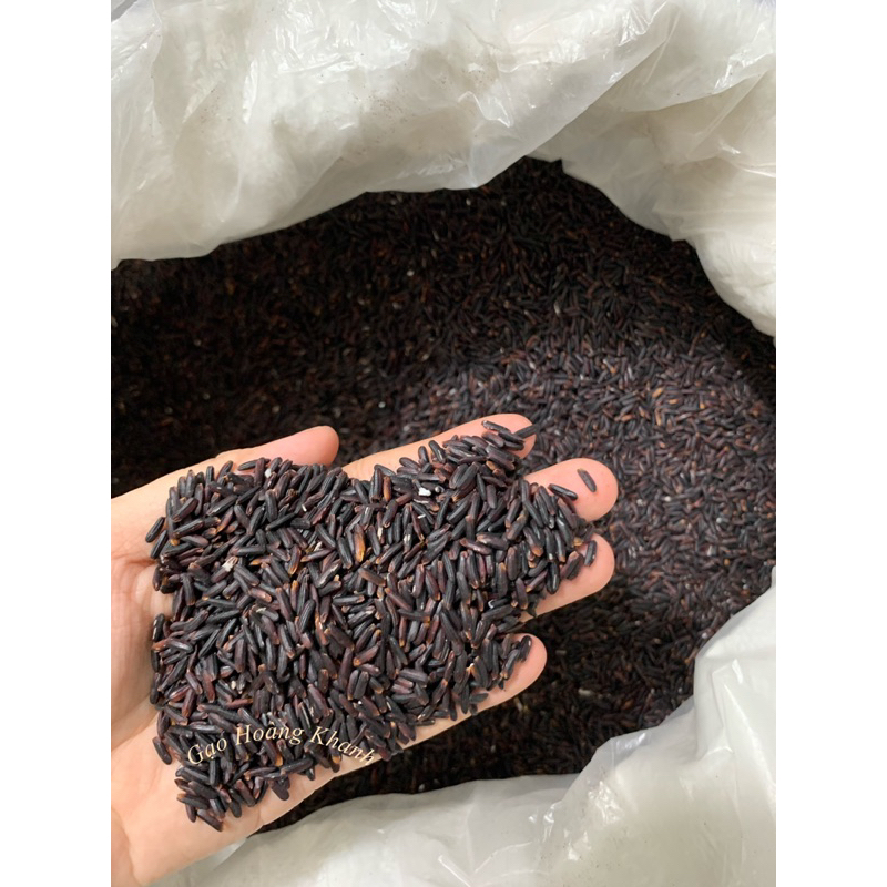  Túi 1kg Gạo Nếp Cẩm nguyên chất dẻo thơm nấu xôi làm chè sữa chua 