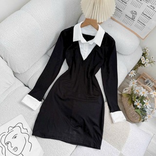 Đầm body polo phối cổ trắng