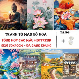 (30x40cm) TỔNG HỢP Tranh tô màu theo số HOTTREND có sẵn khung, cọ vẽ, màu vẽ, màu bóng