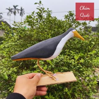 chim quốc mồi giả