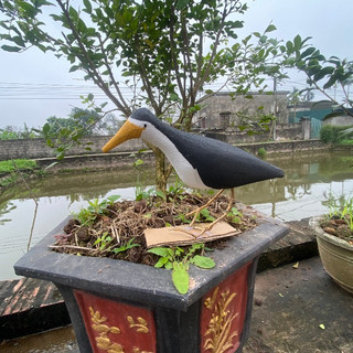 chim quốc mồi giả
