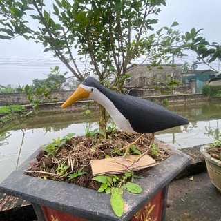 chim quốc mồi giả