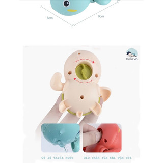 rùa vặn cót bơi trong nước