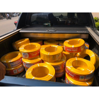 Dây điện 2x2.5 Trần Phú (giá 1m)