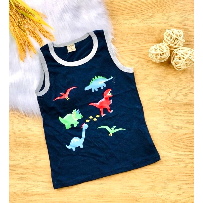 💥Áo cotton xuất place & carter’S bé trai 10-30kg