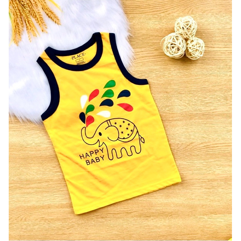 💥Áo cotton xuất place & carter’S bé trai 10-30kg