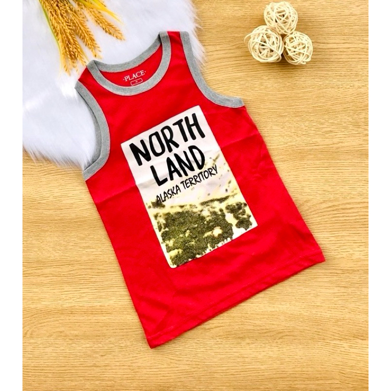 💥Áo cotton xuất place & carter’S bé trai 10-30kg