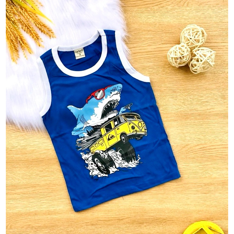 💥Áo cotton xuất place & carter’S bé trai 10-30kg