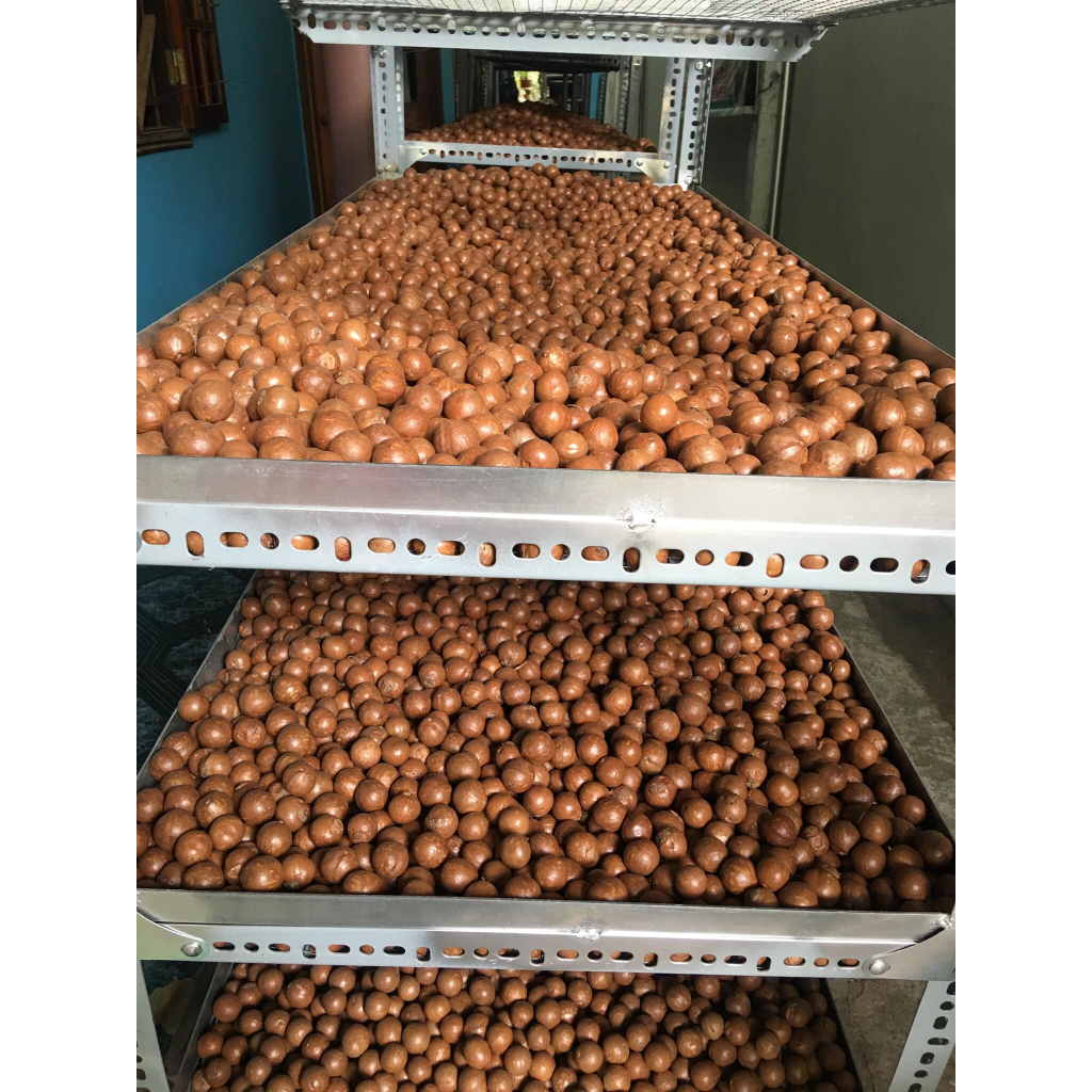 Hạt Macca Nứt Vỏ Tây Nguyên,sấy lạnh Dinh Dưỡng Cao, Không Hôi Dầu - 1000g