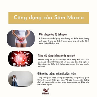Bột Sâm Maca Đen Peru hữu cơ chuẩn chất lượng 100%