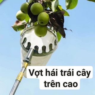 Vợt hái trái cây trên cao