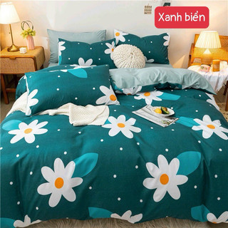 Update Mẫu mới bộ chăn ga gối poly nhập