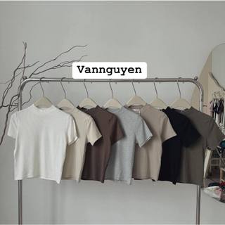 MEII STUDIOS - Áo babytee co giãn 4 chiều