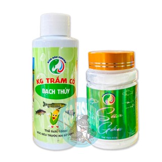  Hương Liệu Bạch Thuỷ 100ml + Sữa Gấu Kiên Gấu Fishing Ngâm Ngô Câu Trắm Cỏ Chép Trắm Đen Siêu Nhạy 